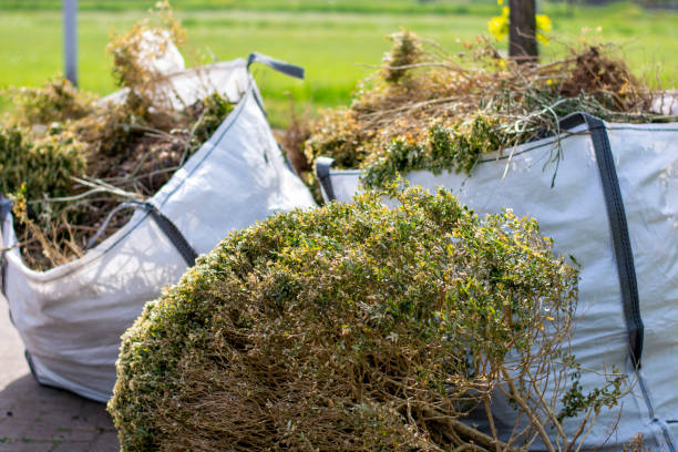 Best Trash Removal Near Me  in Whitney, NV
